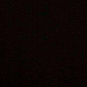 Meet your Posher, Korey